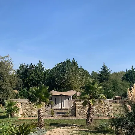 Noccemada 